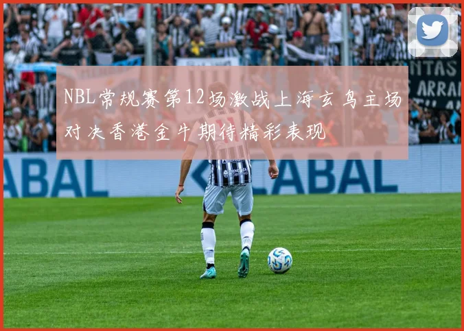 NBL常规赛第12场激战上海玄鸟主场对决香港金牛期待精彩表现
